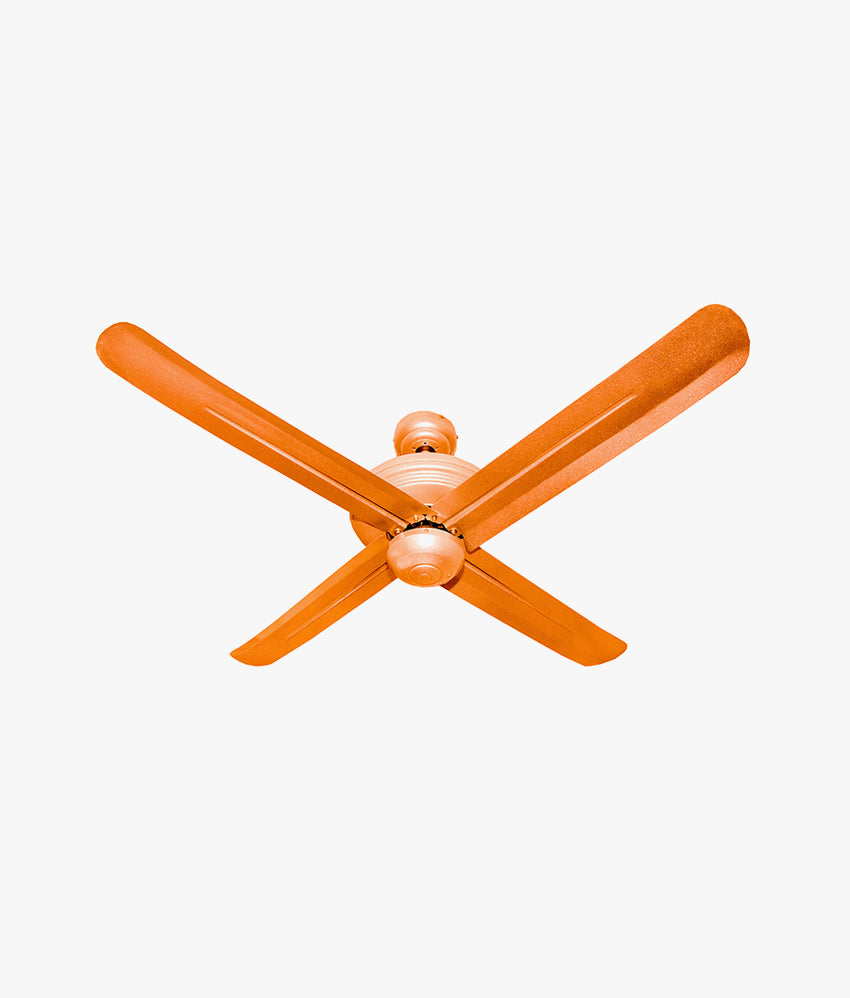 Ceiling fan with light