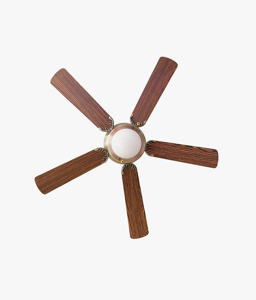 Ceiling Fans